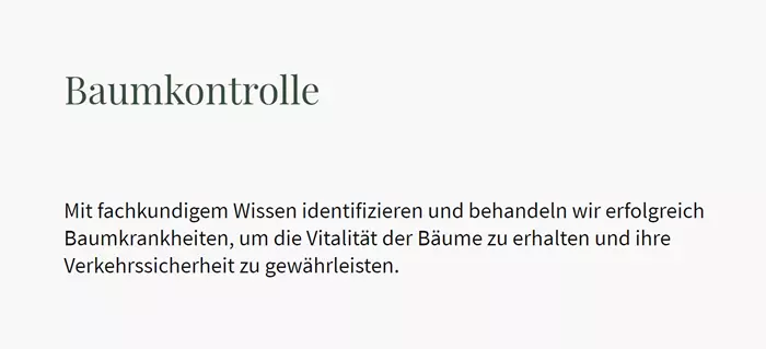 Baumkontrolle für 63579 Freigericht