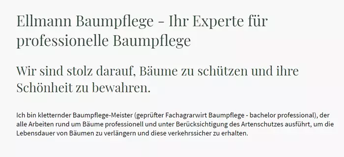 Baumpflege Meister für  Mörfelden-Walldorf