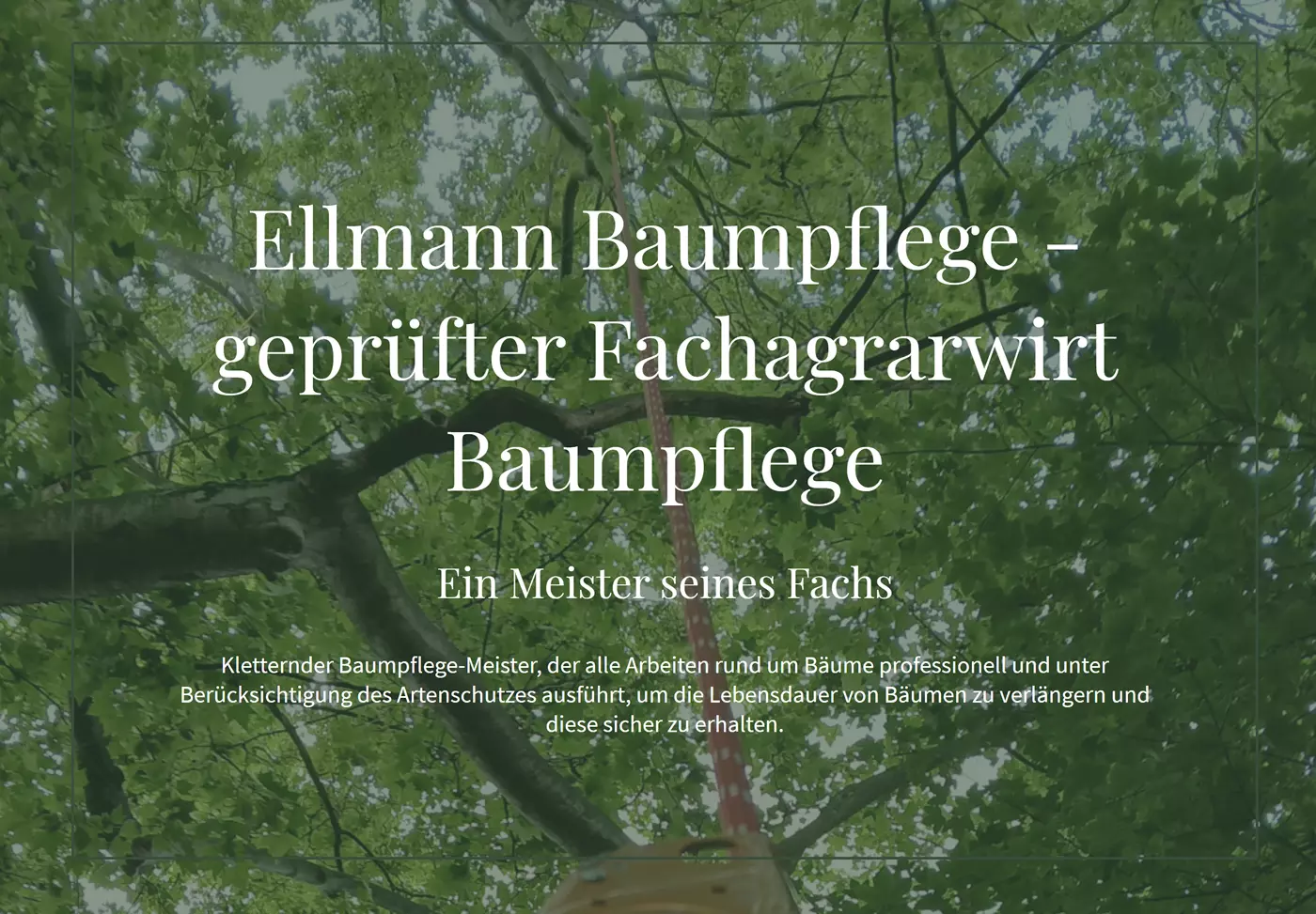 Baumpflege Frankfurt (Main) - ↗️Ellmann💪: ✔️Gartenpfleger, Baumfällung, Baumkletterer, Baumschnitt