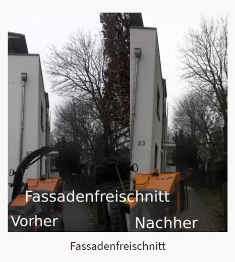 Fassadenfreischnitt 