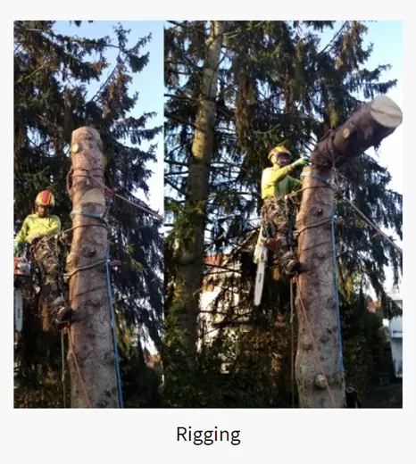 Rigging für  Egelsbach